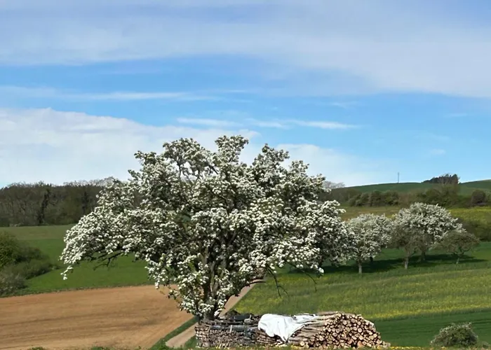 Hegauzeit-moderne Apartment Tengen